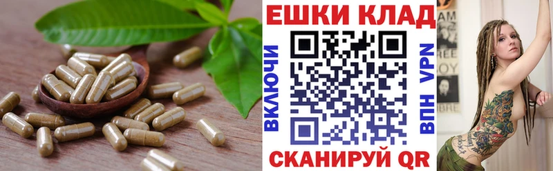 Купить закладки Пестово Ecstasy Дубай