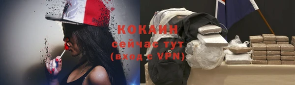 ПСИЛОЦИБИНОВЫЕ ГРИБЫ Инсар
