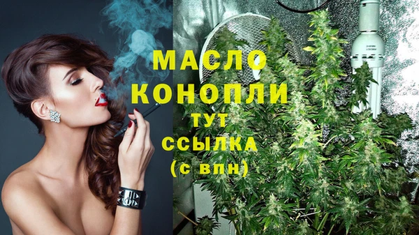 ПСИЛОЦИБИНОВЫЕ ГРИБЫ Инсар