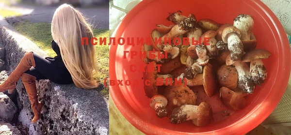 каннабис Инта